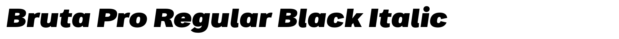 Bruta Pro Regular Black Italic image